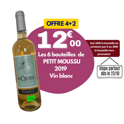 PETIT MOUSSU - Vin blanc 2019